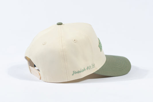 Renewed Snapback - SAGE / OFFWHITE